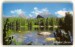 Štrbské pleso